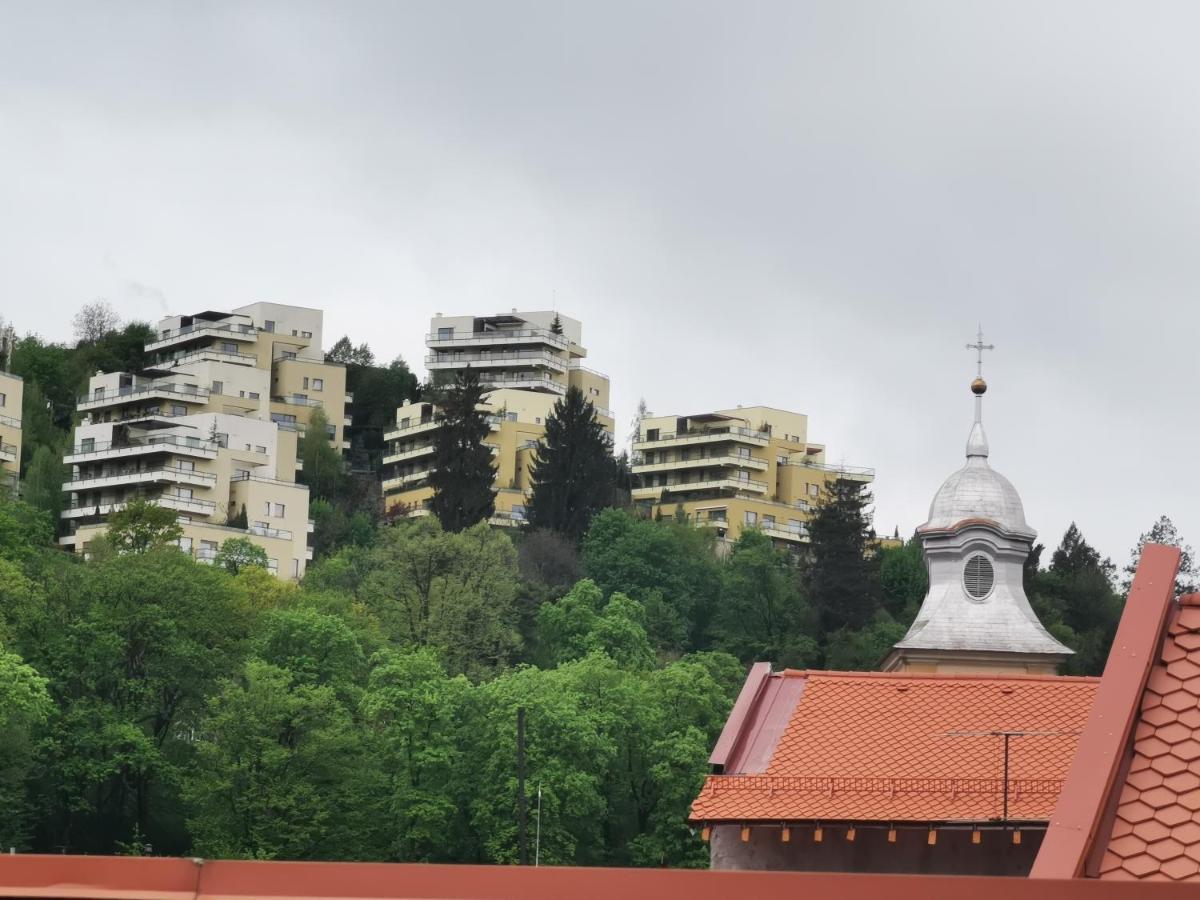 Crystal Central Apartment Brasov Ngoại thất bức ảnh